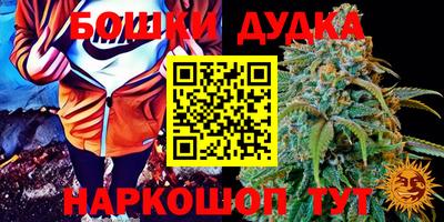гидра Сланцы