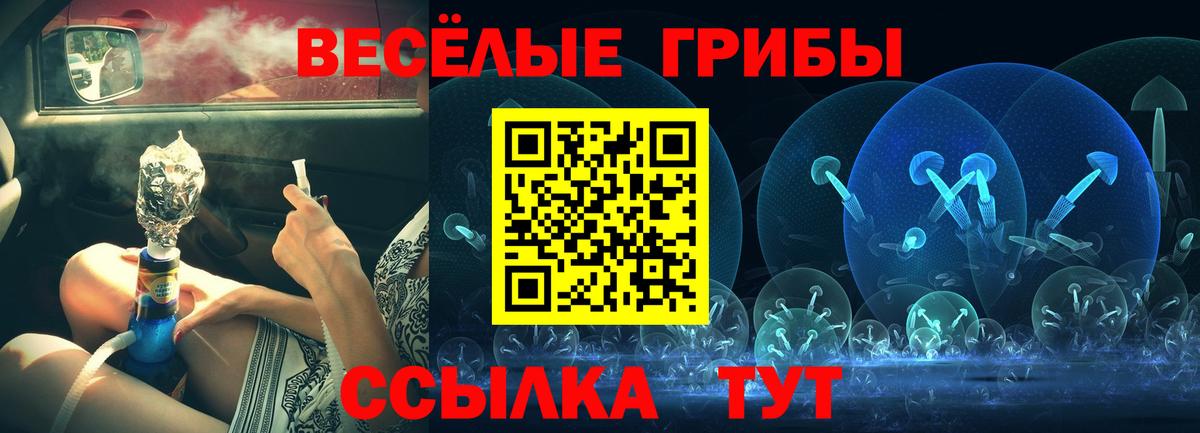Псилоцибиновые грибы Psilocybine cubensis  Псилоцибиновые грибы GOLDEN TEACHER  Новодвинск  Вход с VPN 